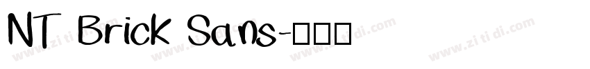 NT Brick Sans字体转换
